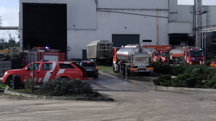 Jornal Campeão: Bombeiros combatem incêndio numa fábrica de rações na Figueira da Foz