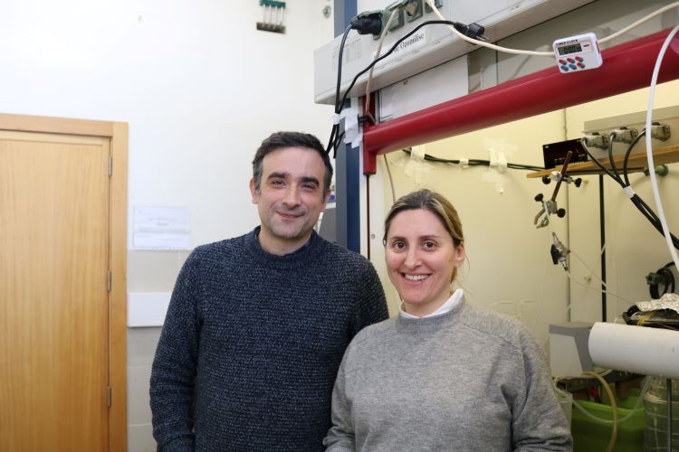Jornal Campeão: Cientistas da UC testam tecnologia para tornar extracção de óleo mais ecológica