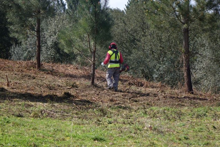 Jornal Campeão: Coimbra: Terrenos junto a edificações isoladas têm de ser limpos até 15 de Abril