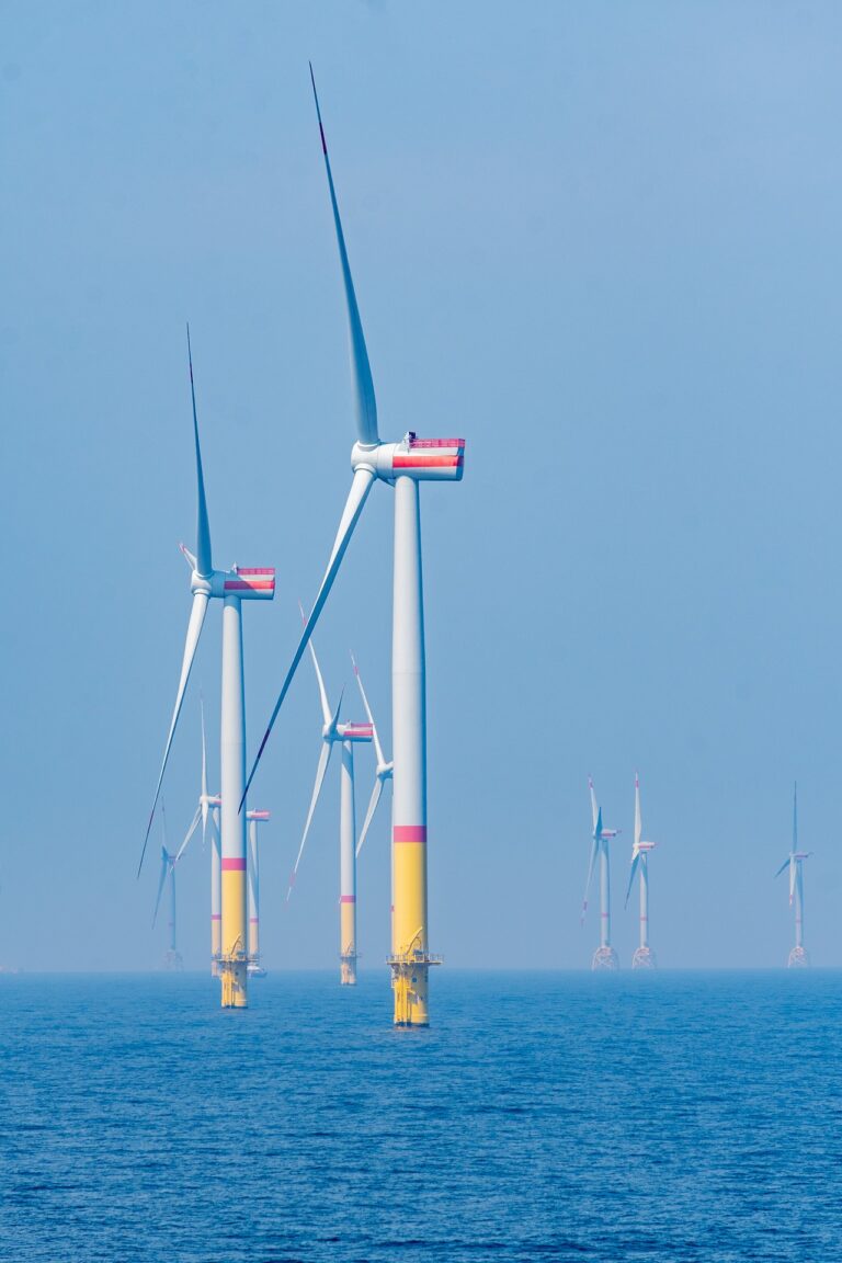 Jornal Campeão: Energias Renováveis Offshore e Economia do Hidrogénio em debate na Figueira da Foz