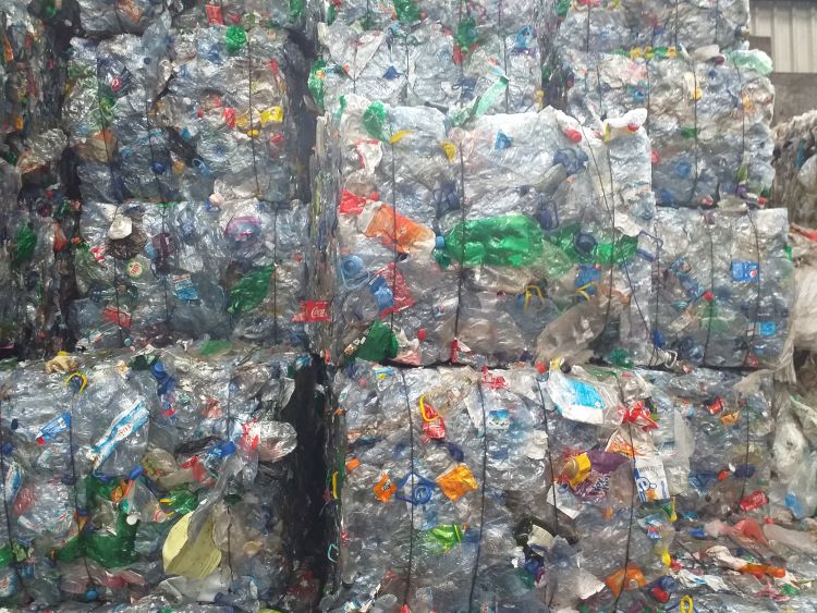 Jornal Campeão: Recolha selectiva em embalagens aumentou 5% na área abrangida pela ERSUC