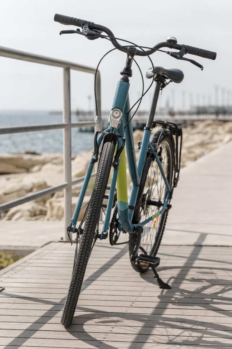 Jornal Campeão: Ponte ciclável sobre o rio Mondego na Figueira da Foz avança este ano