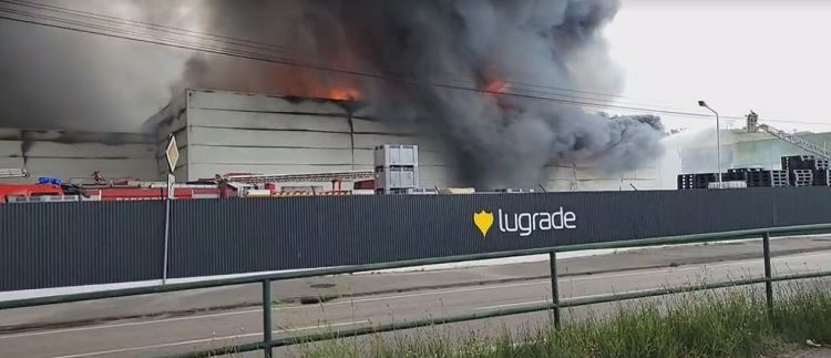 Jornal Campeão: Lugrade reorganiza-se para tentar manter quadro de pessoal após incêndio