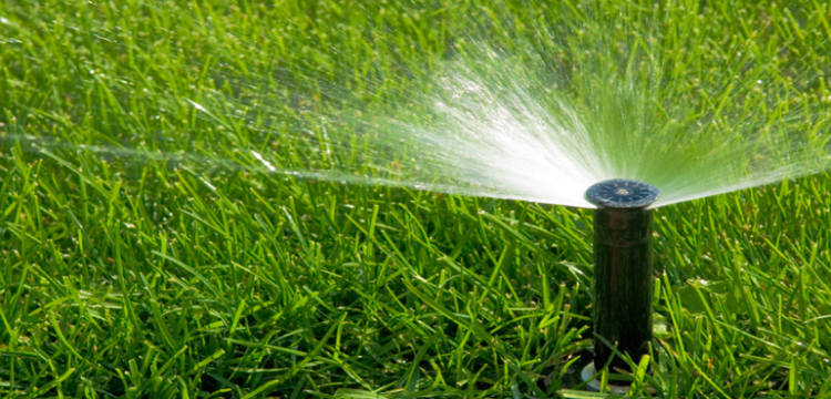 Jornal Campeão: Plano de rega de espaços verdes poupou 100 mil euros de água em Coimbra