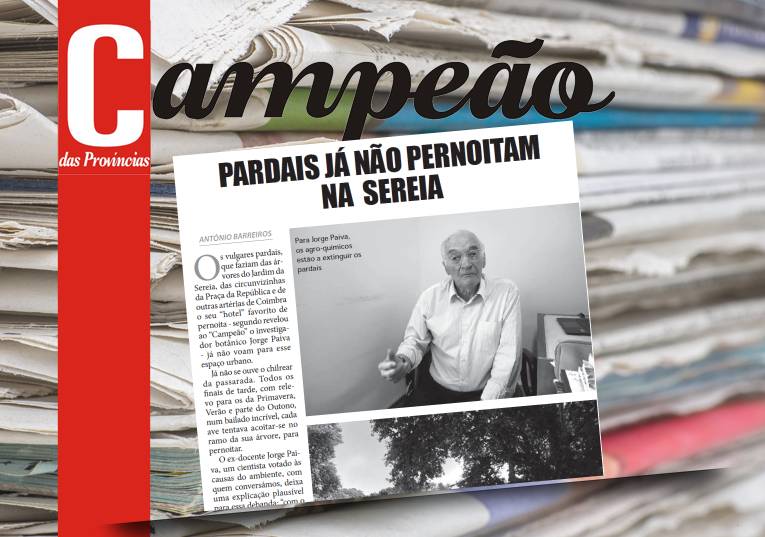 Jornal Campeão: Pardais já não pernoitam no Jardim da Sereia em Coimbra 