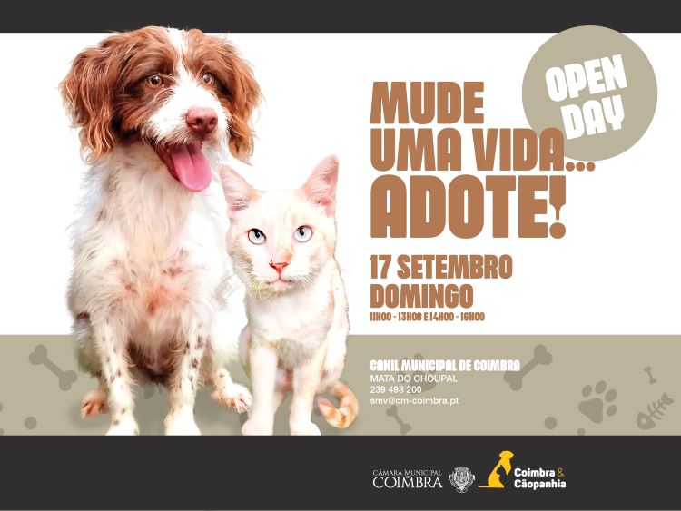 Jornal Campeão: Câmara de Coimbra promove “Open Day” no Canil Municipal