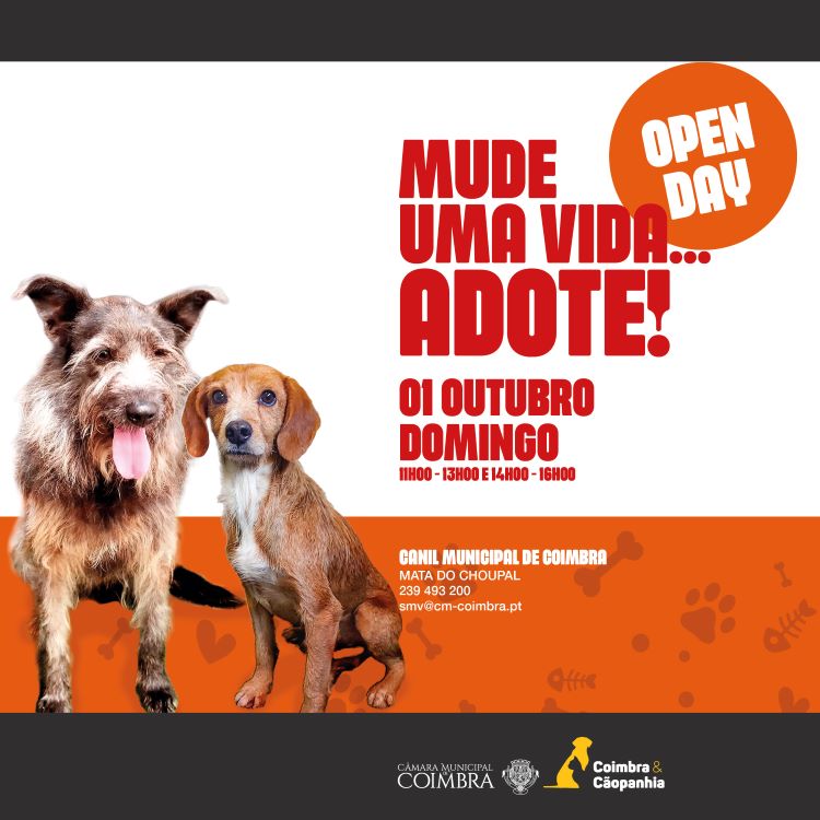 Jornal Campeão: Canil Municipal de Coimbra de portas abertas no domingo