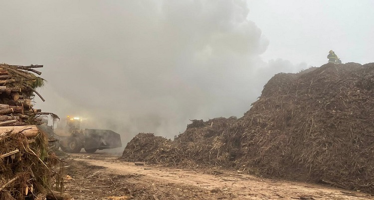 Jornal Campeão: Meia centena de bombeiros combatem chamas em fábrica de ‘pellets’ em Arganil