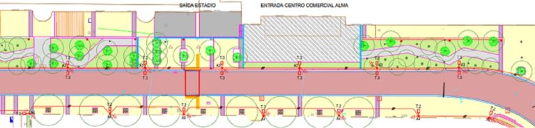Jornal Campeão: Câmara de Coimbra altera projecto do MetroBus na Solum para preservar árvores