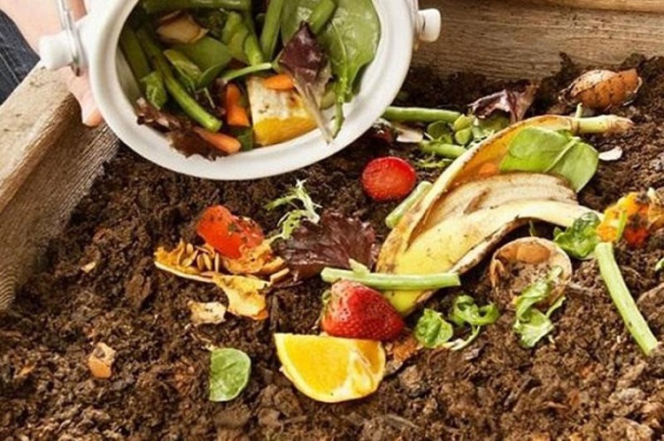 Jornal Campeão: Aplicação que controla biorresíduos compostados será lançada em Abril de 2024 Jornal Campeão: Aplicação que controla biorresíduos compostados será lançada em Abril de 2024