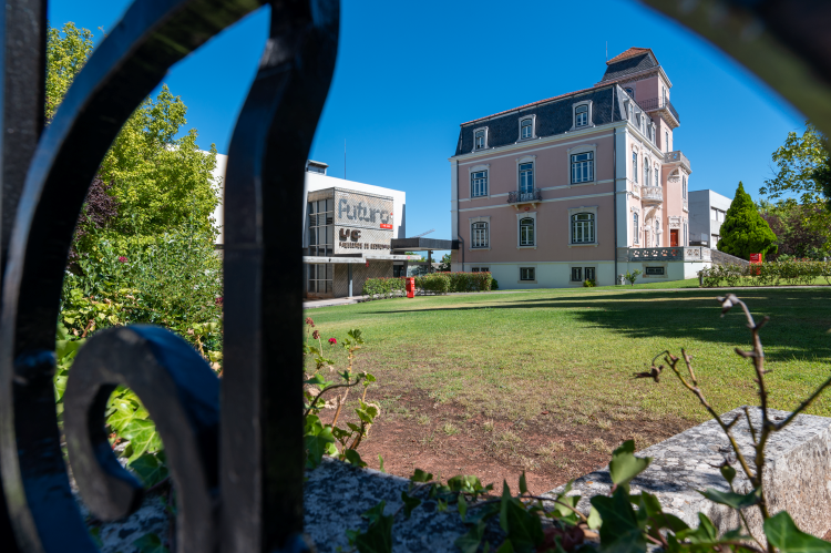 Jornal Campeão: FEUC recebe Francisco Bastos da Arcádia para sessão especial do BusinessCases