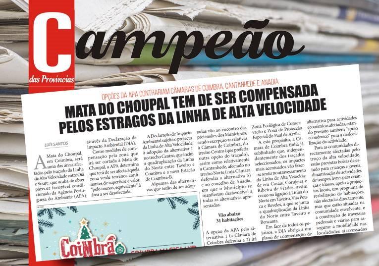 Jornal Campeão: Mata do Choupal tem de ser compensada pelos estragos da linha de alta velocidade