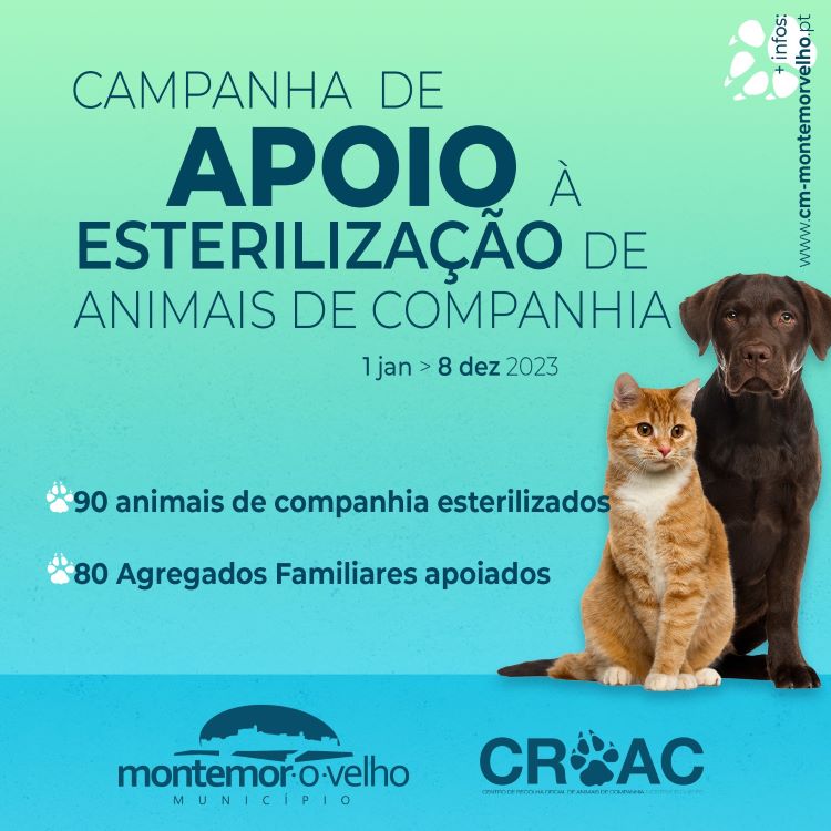 Jornal Campeão: Campanha de esterilização em Montemor-o-Velho beneficiou 90 animais