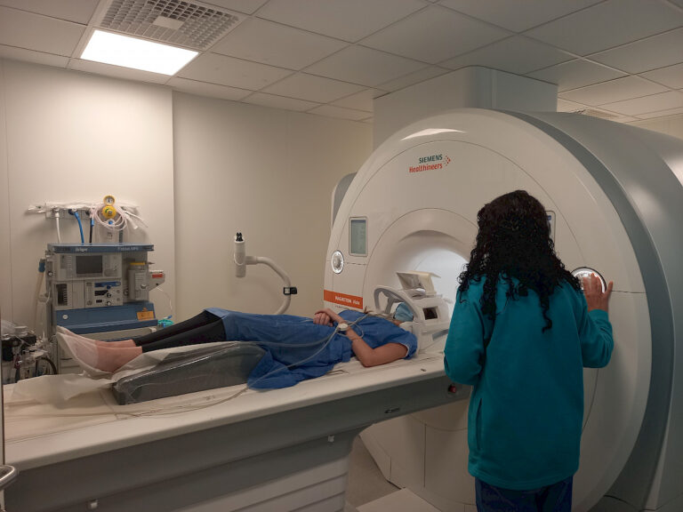 Jornal Campeão: Cientistas da Universidade de Coimbra desvendam como o cérebro reconhece objectos