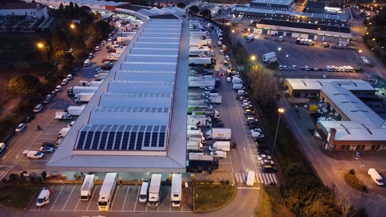 Jornal Campeão: Mercado Abastecedor de Coimbra reforça presença digital