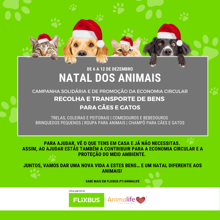 Jornal Campeão: FlixBus e Animalife unem-se para campanha solidária pelos animais