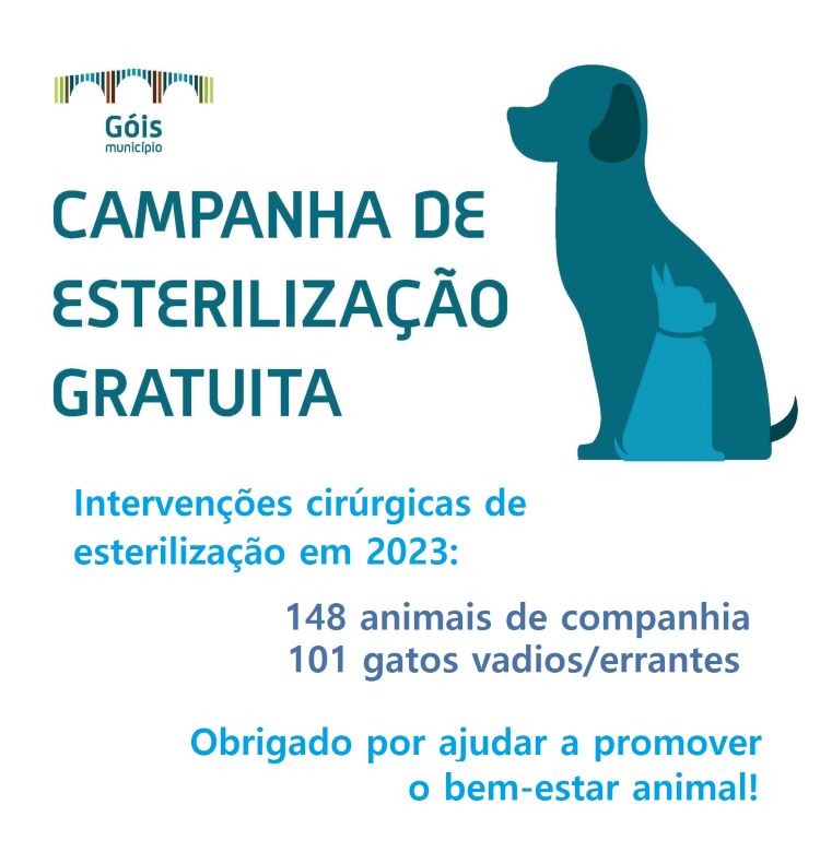 Jornal Campeão: Góis esterilizou gratuitamente 249 animais de companhia na campanha de 2023