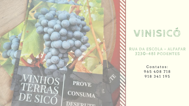 Jornal Campeão: Vinhos Terras de Sicó conquistam o pódio no Portugal Wine Trophy 2023