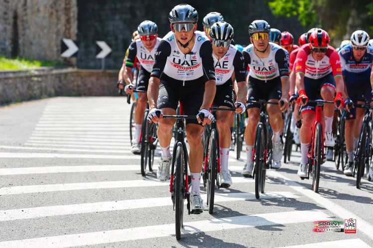 Jornal Campeão: UAE Team Emirates confirma participação na “Figueira Champions / Casino Figueira”