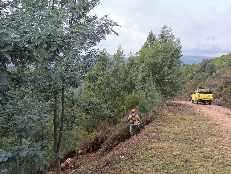 Jornal Campeão: Comunidade Intermunicipal da Região de Coimbra adapta território às alterações climáticas