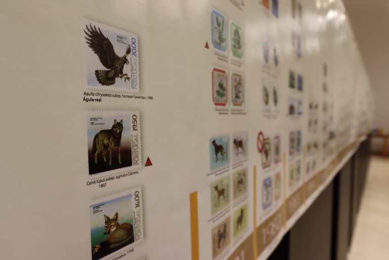 Jornal Campeão: Exposição “Selos Postais – 55 Anos de Alertas pela Biodiversidade” no Cineteatro Messias