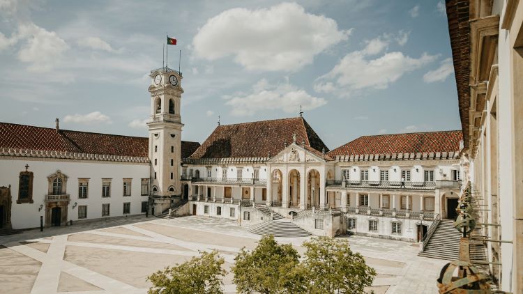 Jornal Campeão: Universidade de Coimbra e Fundo Ambiental aliados contra as ameaças aos polinizadores