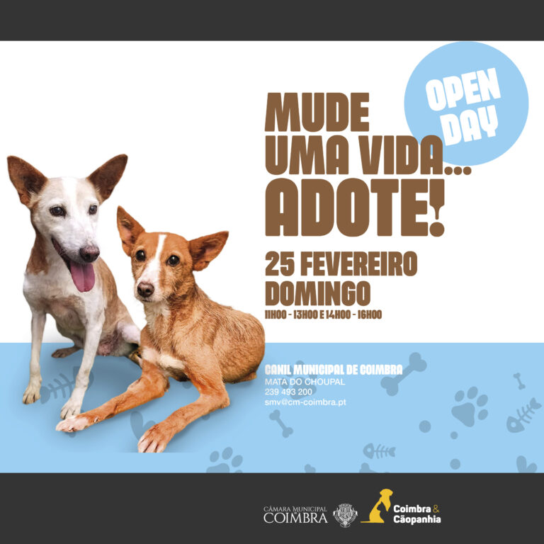 Jornal Campeão: Canil Municipal de Coimbra abre as portas neste domingo