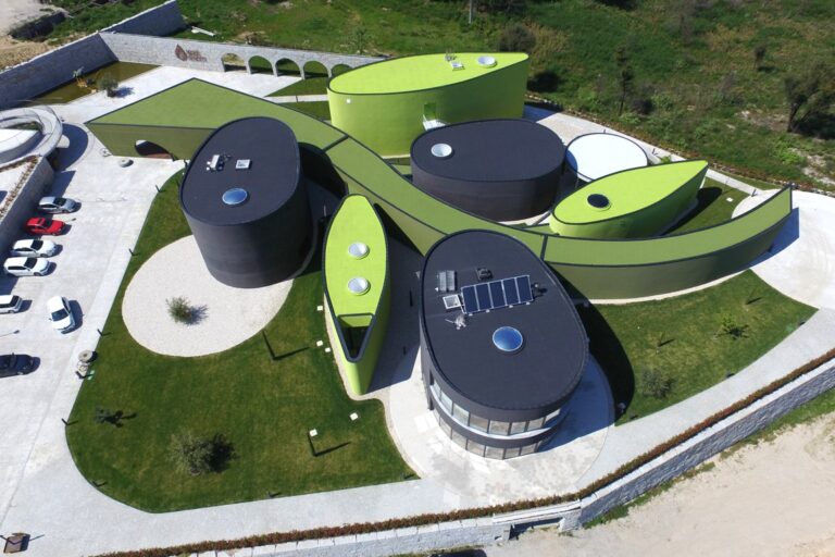 Jornal Campeão: Museu do Azeite quer regressar ao número de visitas registadas antes da pandemia