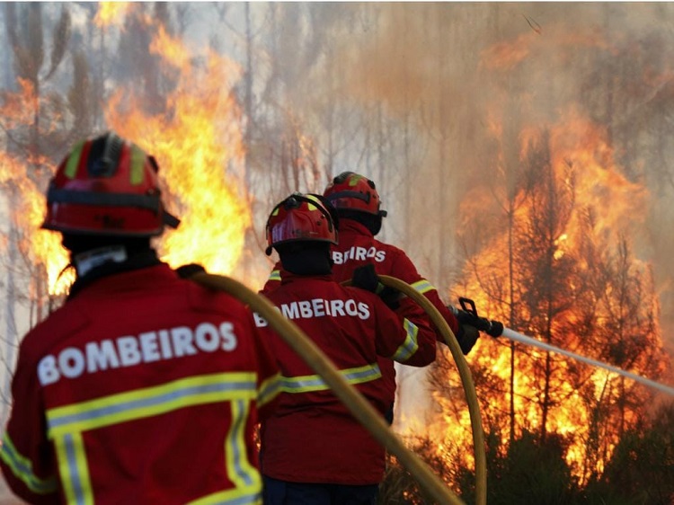 Jornal Campeão: Área ardida pelos incêndios triplicou nos últimos 15 dias
