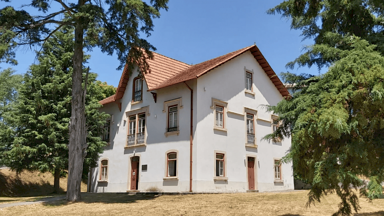 Jornal Campeão: Instituto de Investigação Interdisciplinar da UC celebra 24.º aniversário