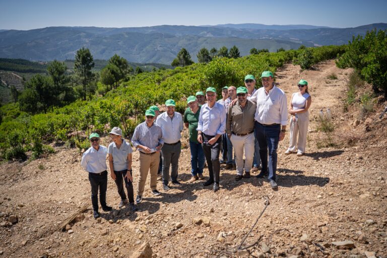 Jornal Campeão: CIM Região de Coimbra lança Rota do Medronho