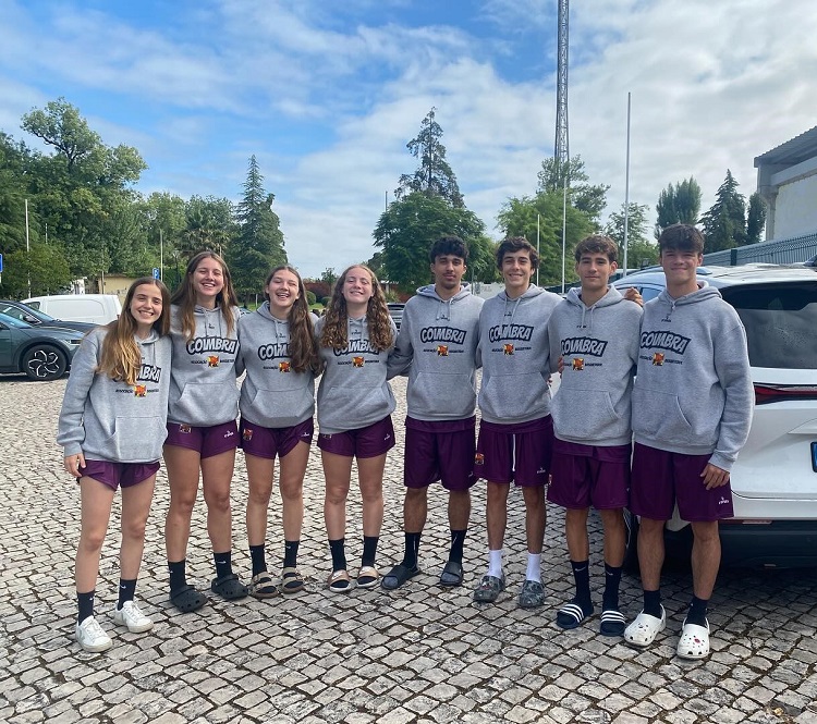 Jornal Campeão: Notícias do Ginásio Figueirense