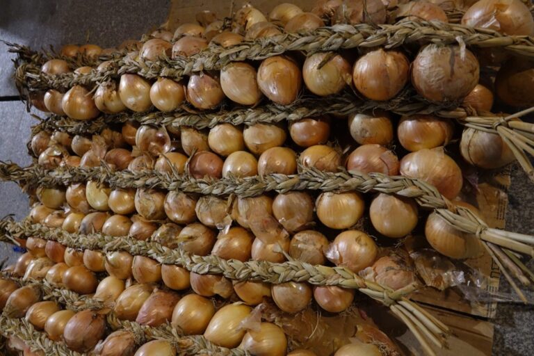 Jornal Campeão: Folclore dá o tom de hoje da Feira das Cebolas no Terreiro da Erva