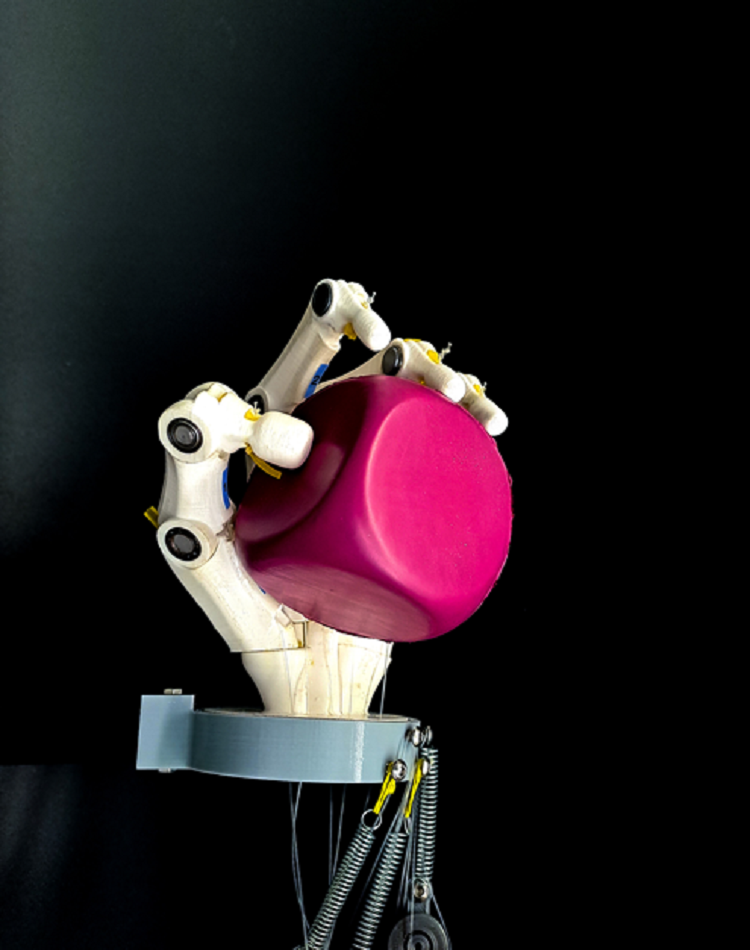 Jornal Campeão: Investigadores de Coimbra criam músculos artificiais para vários tipos de robôs