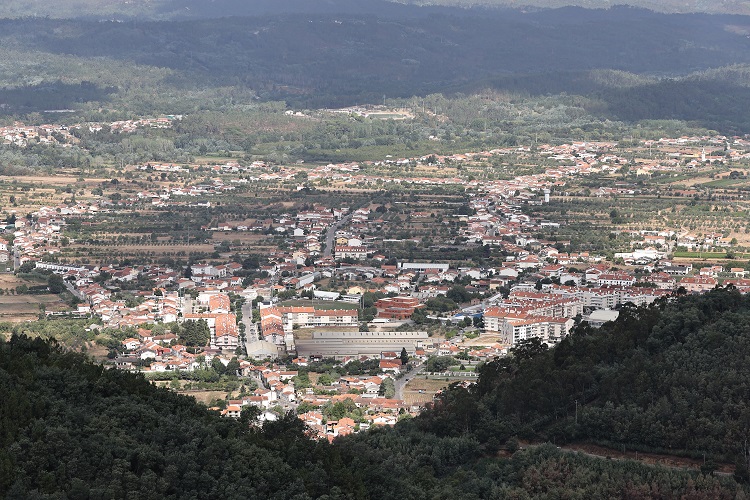 Jornal Campeão: Câmara da Lousã critica fogo táctico que consumiu quase 10% da área ardida