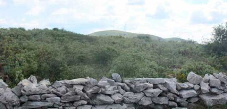 Jornal Campeão: Arte de construir muros em pedra seca no maciço de Sicó em consulta pública