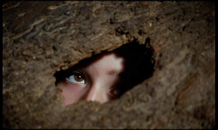 Jornal Campeão: “La Durmiente” conquista o Grande Prémio Caminhos do Cinema em Coimbra