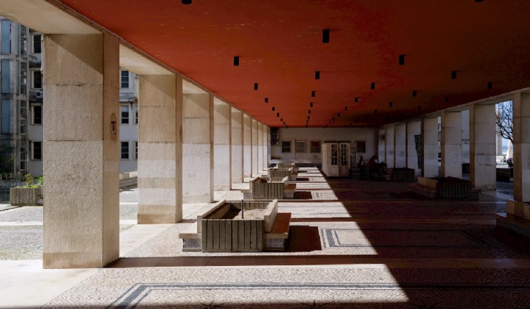 Jornal Campeão: Voluntários vão dar nova vida a canteiros esquecidos da Universidade de Coimbra