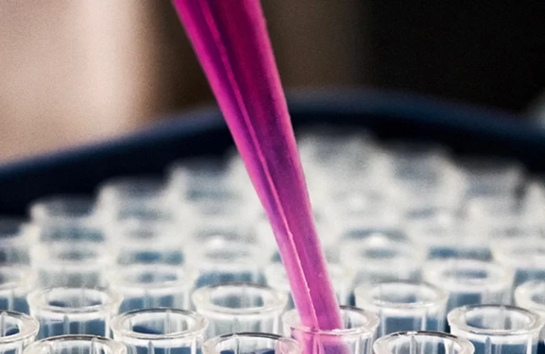 Jornal Campeão: Mais de seis milhões de euros atribuídos a nove projectos de investigação biomédica portugueses