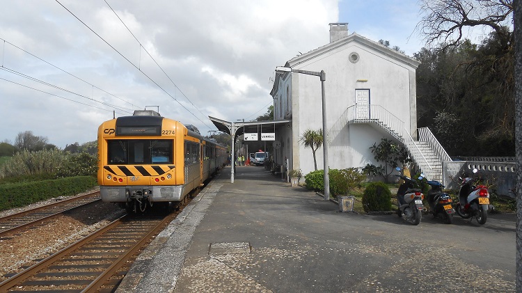 Jornal Campeão: Comboio regional atropelou e matou 100 ovelhas no ramal de Alfarelos