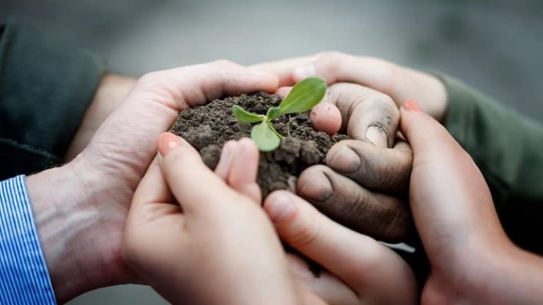 Jornal Campeão: Conferência em Coimbra debate reforço de parcerias para transição verde