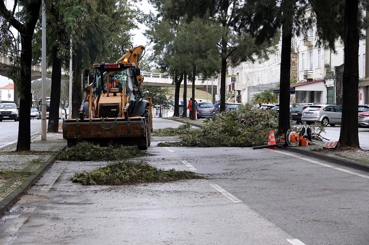 Jornal Campeão: BE diz que Kristin mostra como Coimbra segue vulnerável a fenómenos climáticos