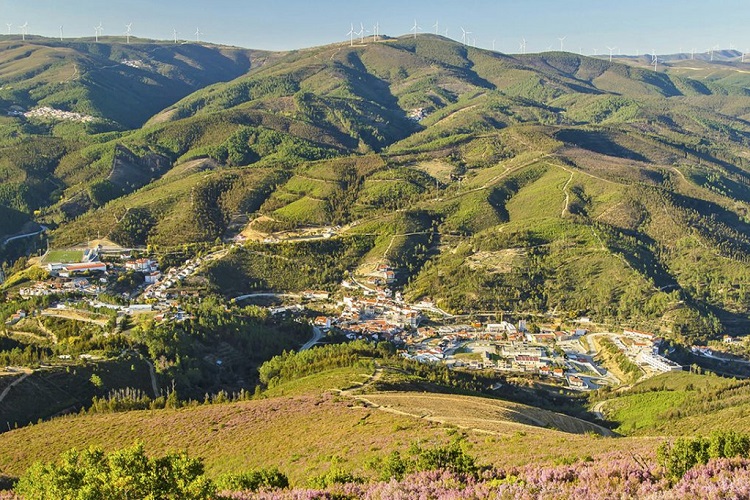 Jornal Campeão: Centro 2030 abre concurso de 4 milhões para apoiar empresas do Pinhal Interior