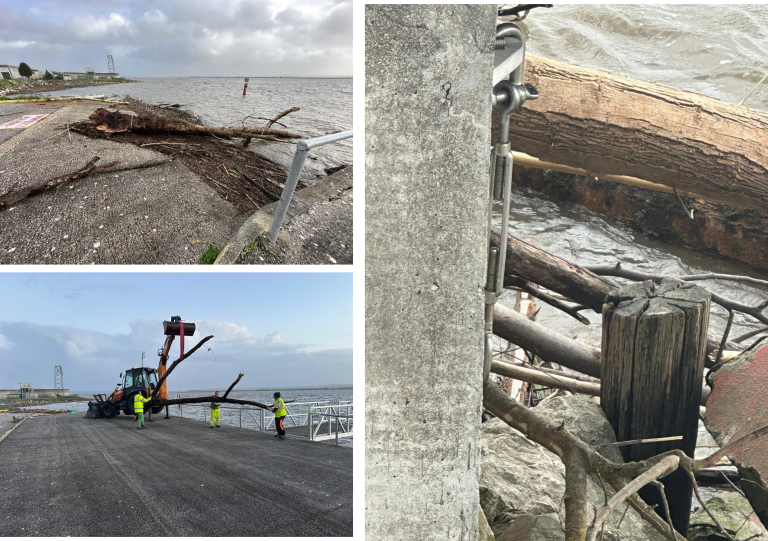 Jornal Campeão: Notícias do Ginásio Figueirense