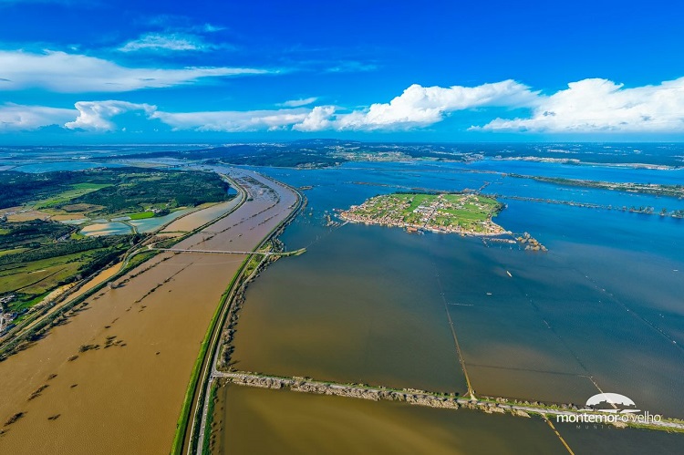 Jornal Campeão: Território de Montemor-o-Velho é agora o que mais preocupa no Mondego
