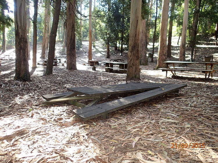 Jornal Campeão: Reabertos acessos principais à Serra da Boa Viagem na Figueira da Foz