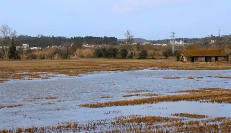 Jornal Campeão: Soure prepara-se para enfrentar intempérie e cheias