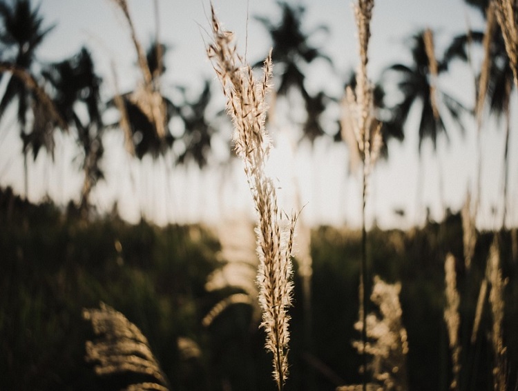Jornal Campeão: Portugal Continental com fraca qualidade do ar entre hoje e amanhã