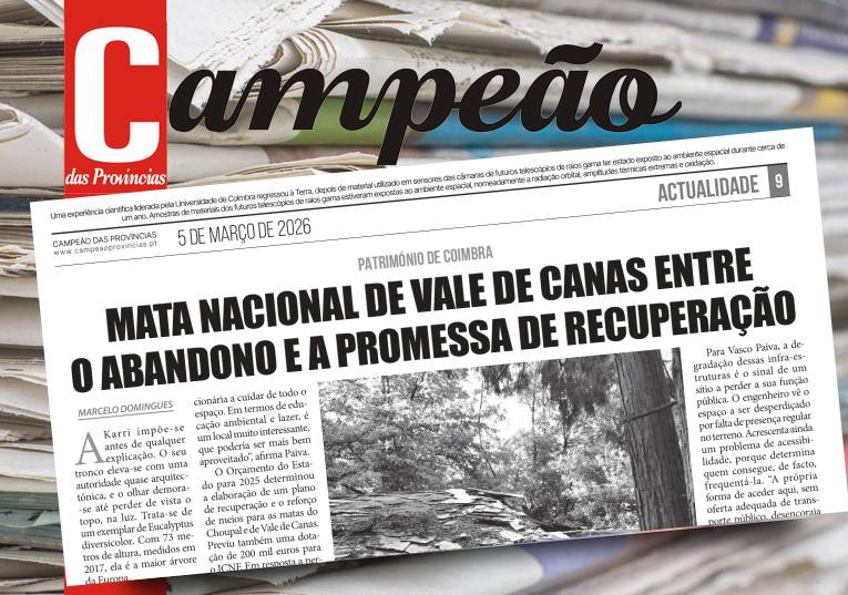 Jornal Campeão: Mata Nacional de Vale de Canas entre o abandono e a promessa de recuperação
