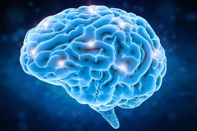 Jornal Campeão: Semana do Cérebro em Coimbra com conversa sobre música e emoções